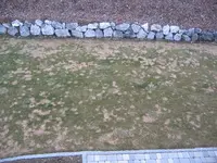 IMG_0001.webp