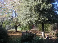 PICT0005.webp