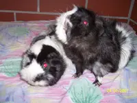 100_1228.webp