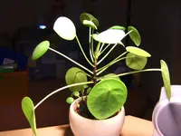 BILD0178.webp