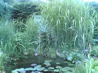 04062007(003).webp