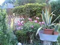 04062007.webp