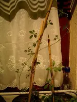 PIC_0058.webp