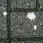 Flecken1.webp