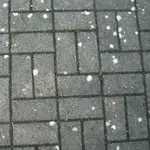 Flecken2.webp