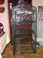 PIC_0058.webp