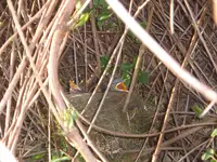 april 07 046.webp