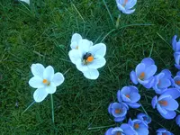 märz 07 054.webp