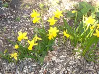 märz 07 041.webp