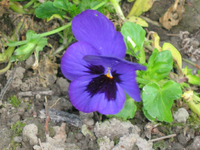 IMG_1906.webp
