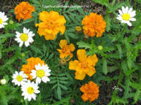 IMG_1907.webp