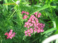 IMG_1909.webp