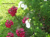 IMG_1910.webp