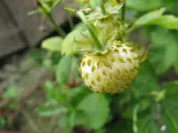 IMG_0294_1280x960.webp