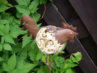 Huhn.webp
