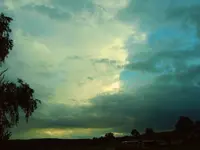 IMG00138.webp