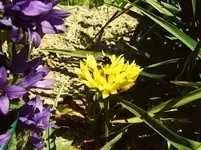 IMG00100.webp