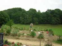 DSCNneuer garten.webp