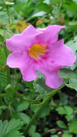 001.webp