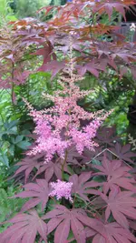 008 (2).webp