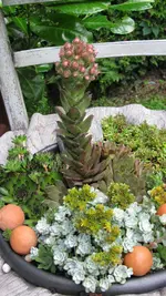 009.webp