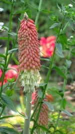 010.webp