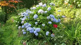 020.webp