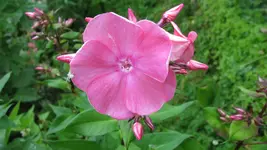 022.webp