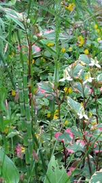 024 (2).webp
