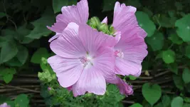025 (2).webp