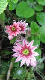 025.webp