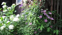 047.webp