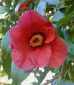 7606.webp