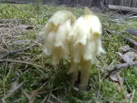Foto275_1.webp