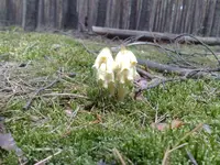 Foto276_1.webp