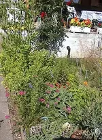 garten2.webp