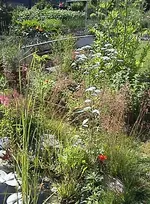 garten3.webp