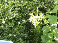 DSC03928.webp