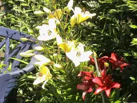 DSC03929.webp