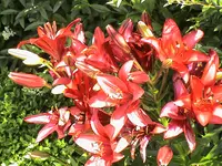 DSC03930.webp