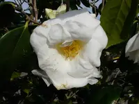 P1030412.webp