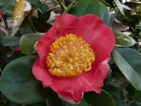 P1030414.webp