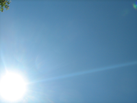 IMG_1917.webp