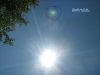 IMG_1918.webp