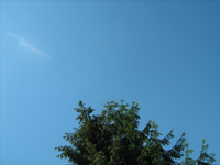IMG_1919.webp