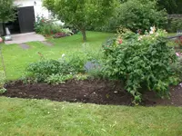 Garten Juli2 020.webp