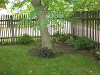 Garten Juli2 021.webp
