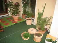 IMG_0355.webp