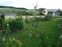 Garten links 2.webp