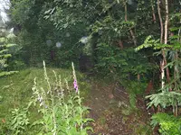 garten_01.webp